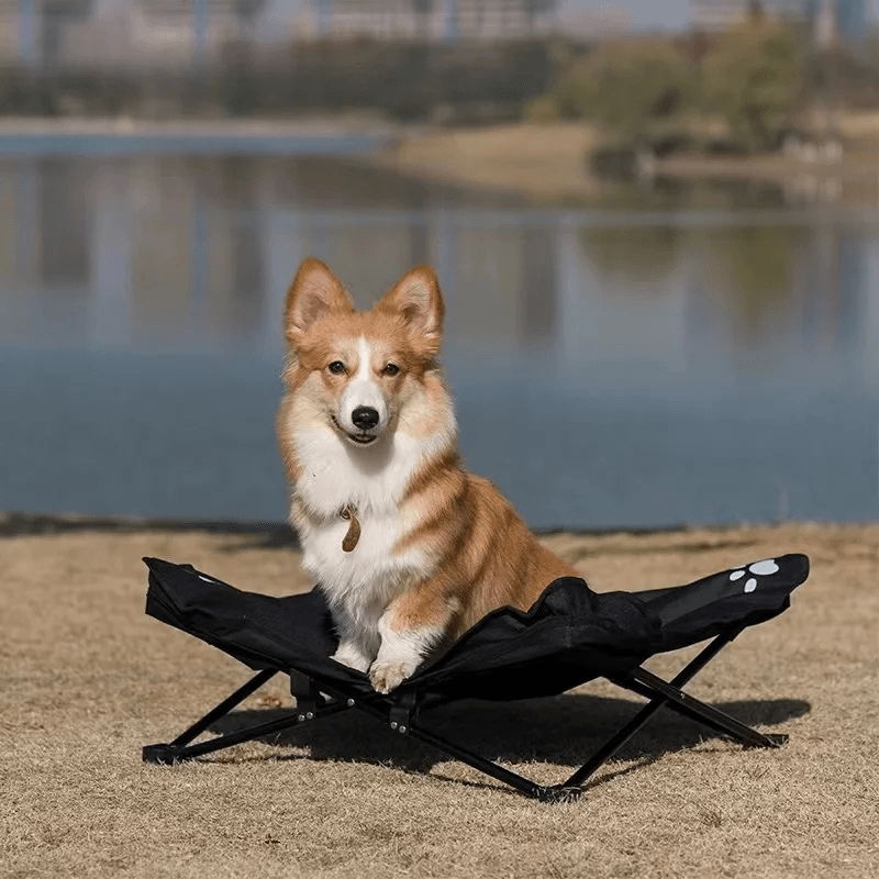 Lit de camp relax pour chien corgi