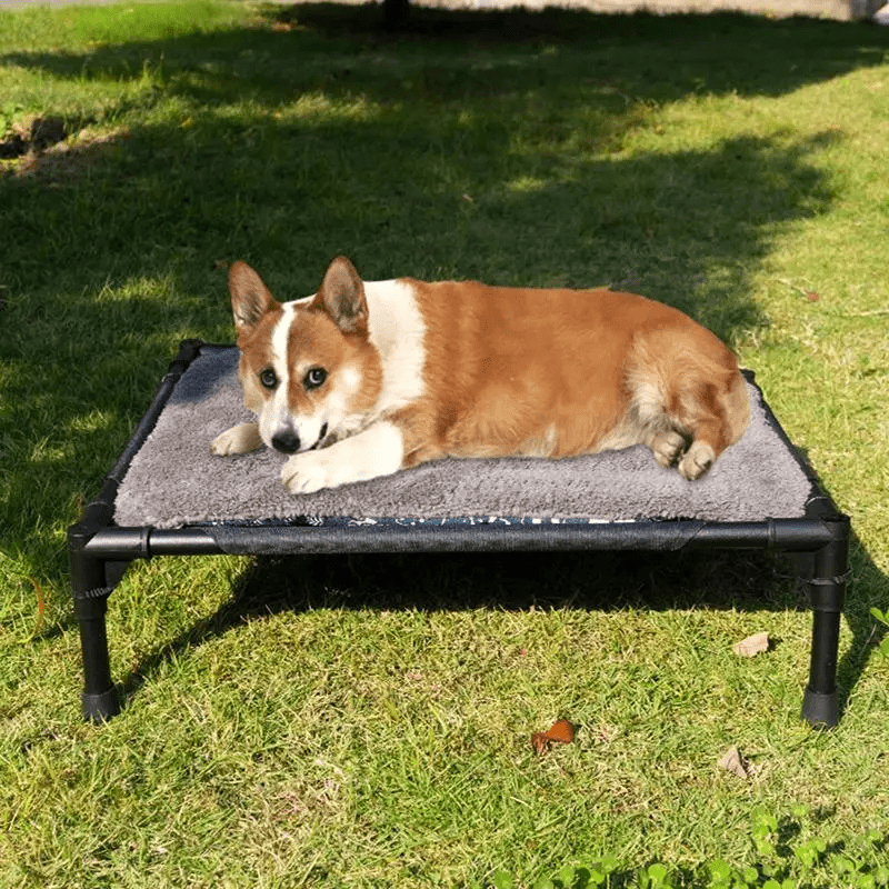 Lit de camping pour chien corgi