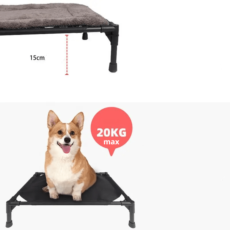 Lit de camping pour chien poids du chien