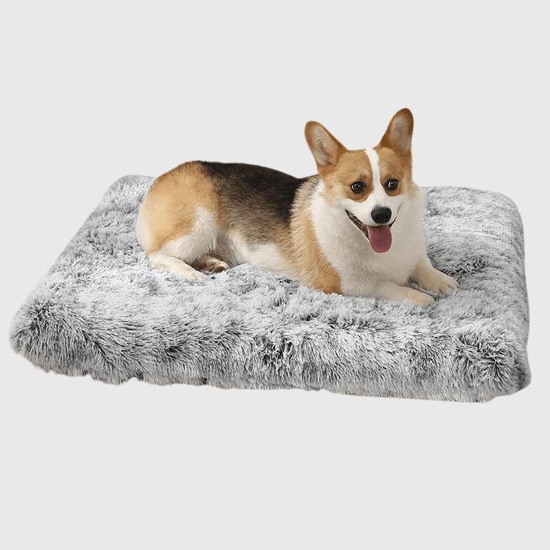 Lit pour grand chien corgi