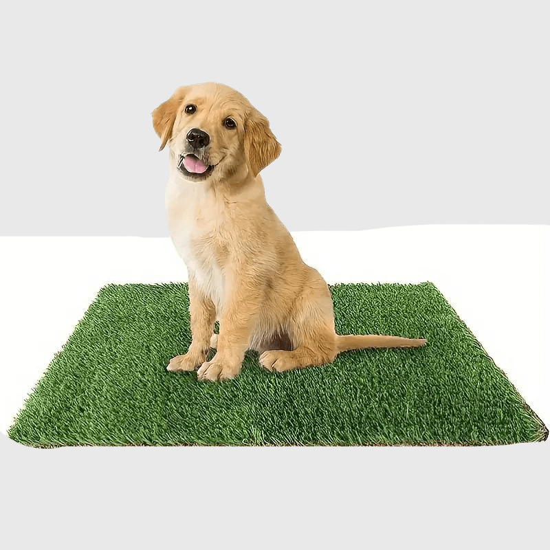 Litiere pour chien appartement chiot
