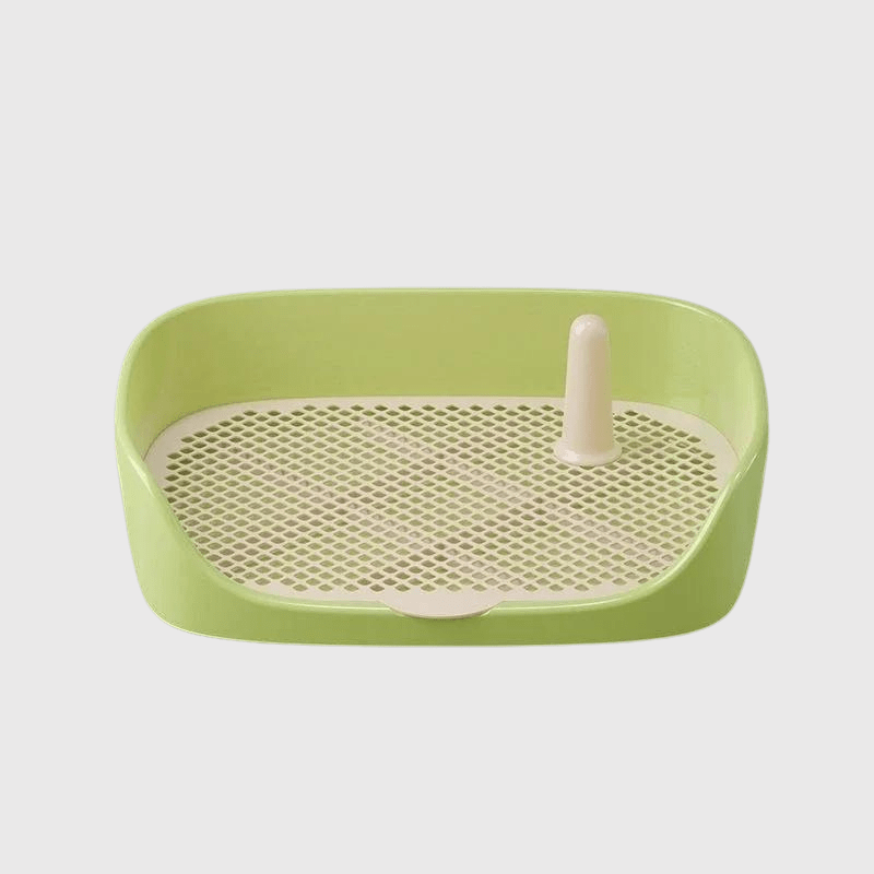 Litière pour chien sur terrasse vert