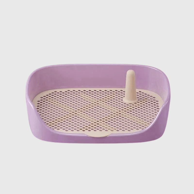 Litière pour chien sur terrasse violet