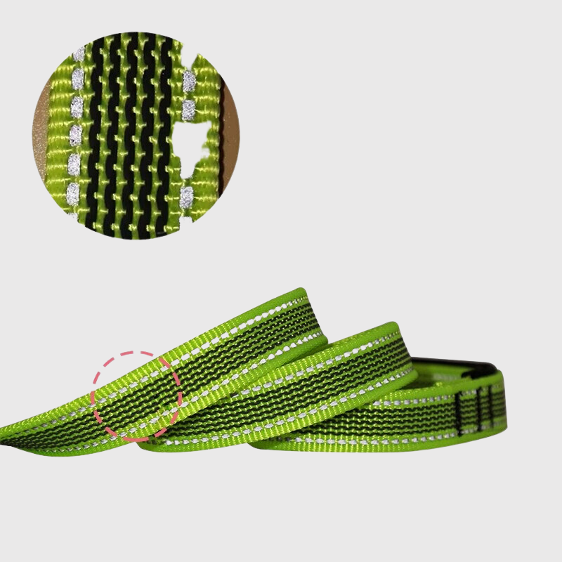 Longe de dressage pour chien details cordage