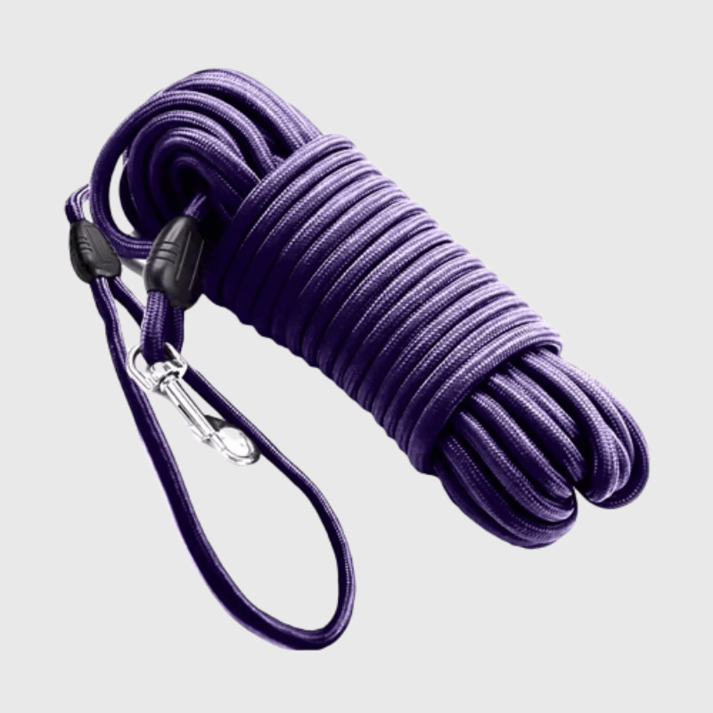 Longe de pistage pour chien violet