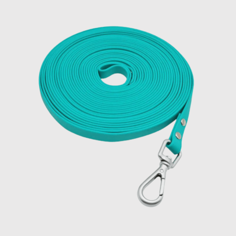 Longe de rappel pour chien 9.2m bleu vert