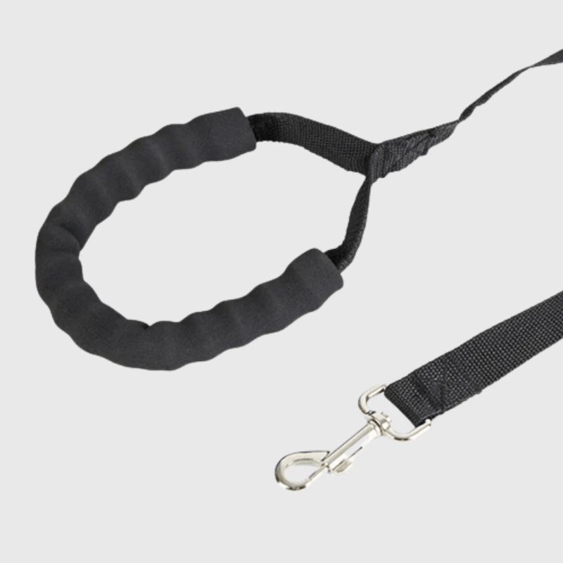 Longe de travail pour chien 1.5m anse pour main zoom