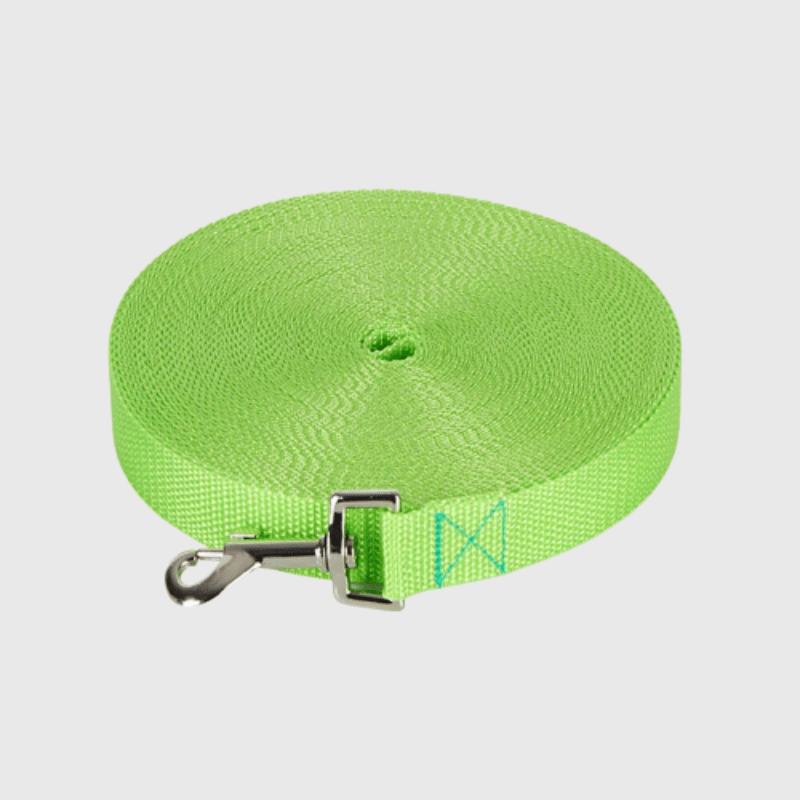 Longe de travail pour chien 1.5m vert clair