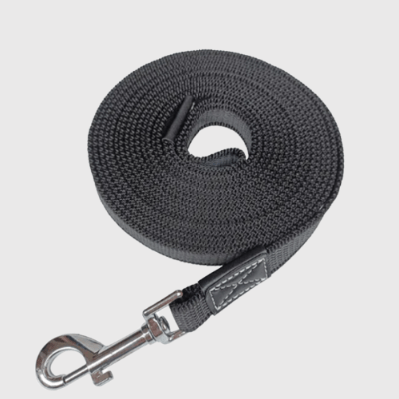 Longe dressage pour chien noir
