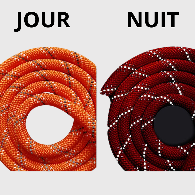 Longe en corde pour chien difference jour nuit