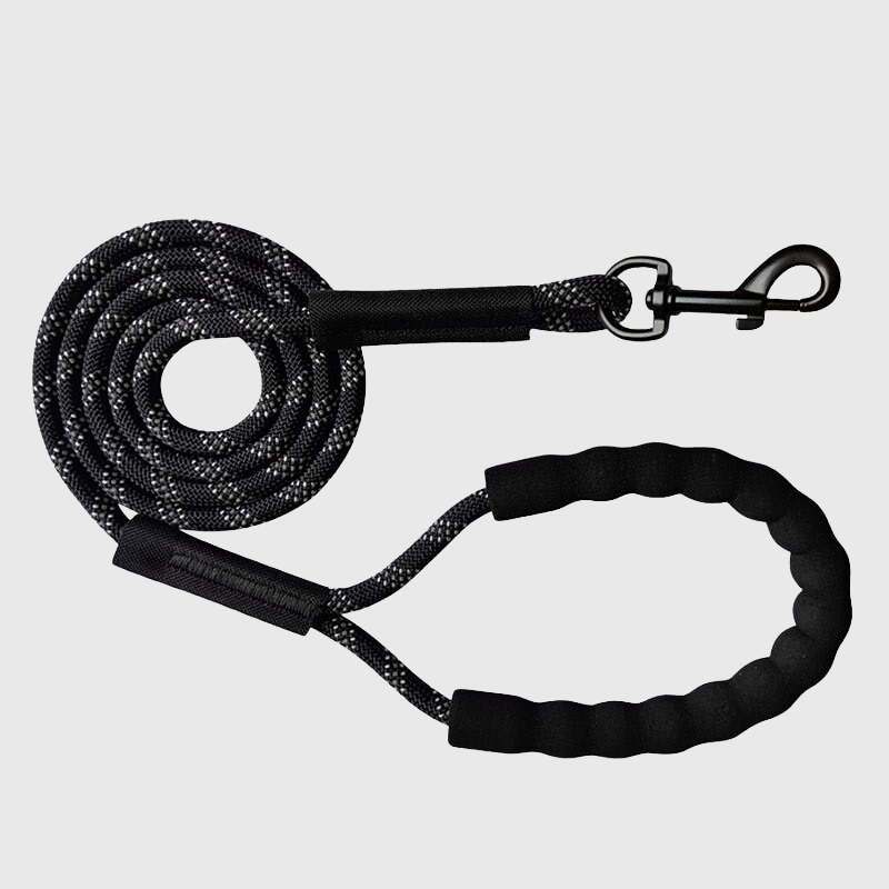 Longe en corde pour chien modele d'affichage