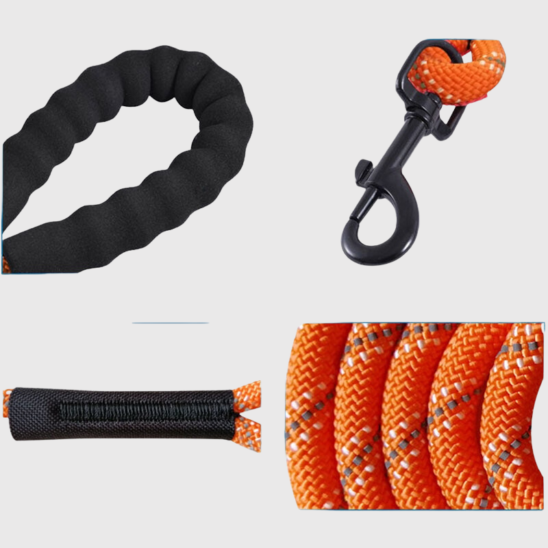 Longe en corde pour chien 15m modele zommer