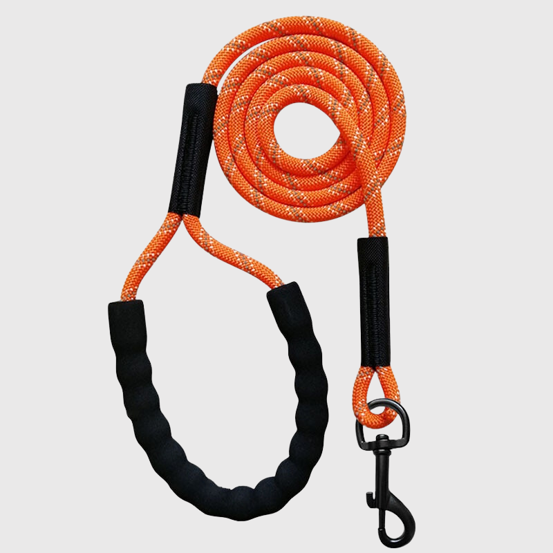 Longe en corde pour chien orange