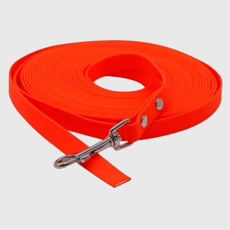 Longe fine pour chien orange