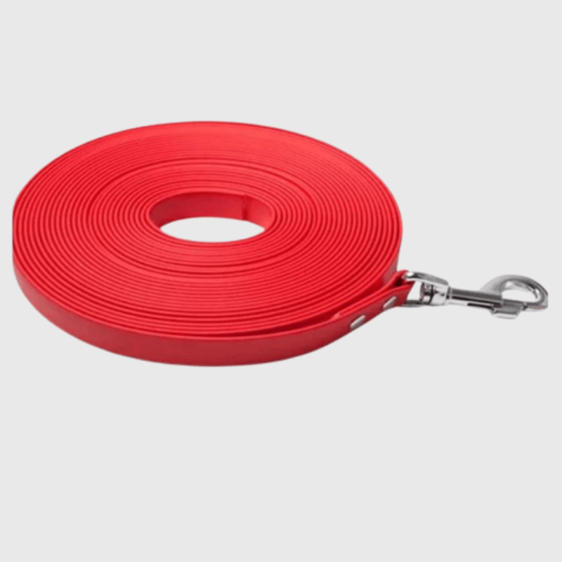 Longe fine pour chien rouge