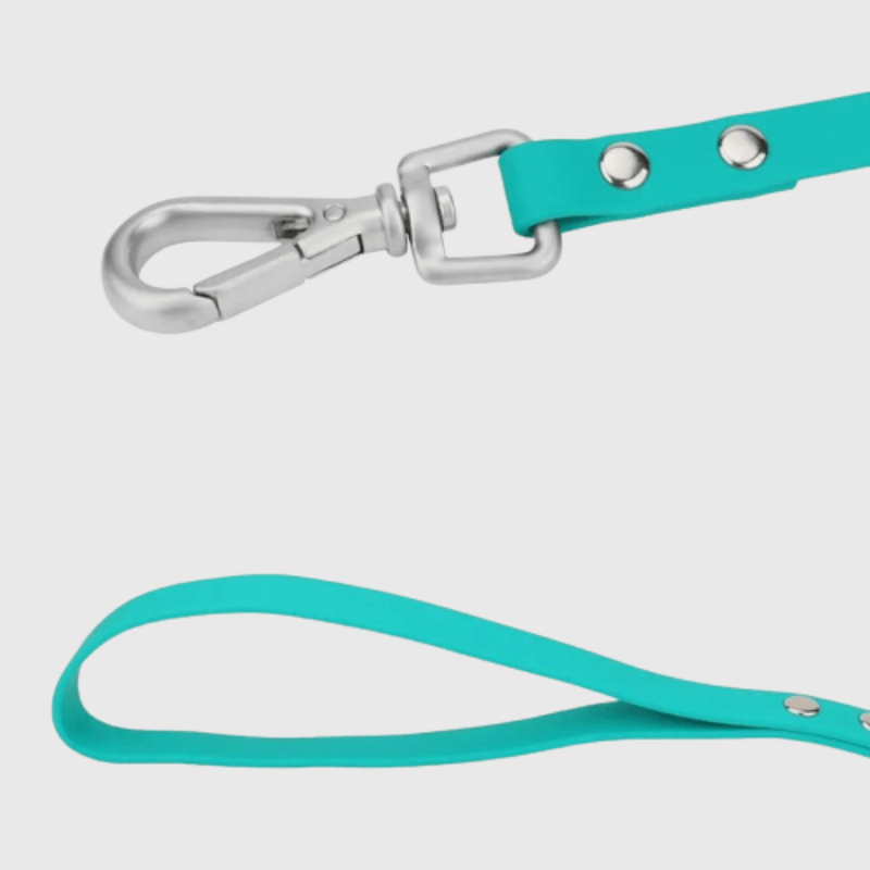 Longe pour chien 15m accroche