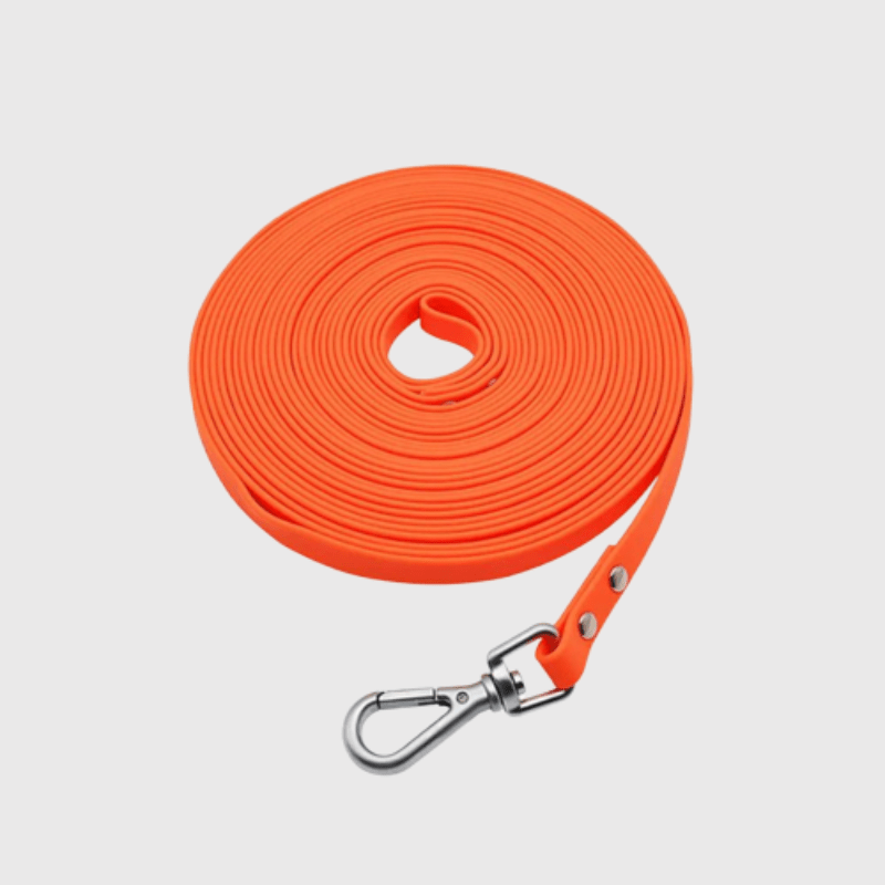 Longe pour chien 15m orange