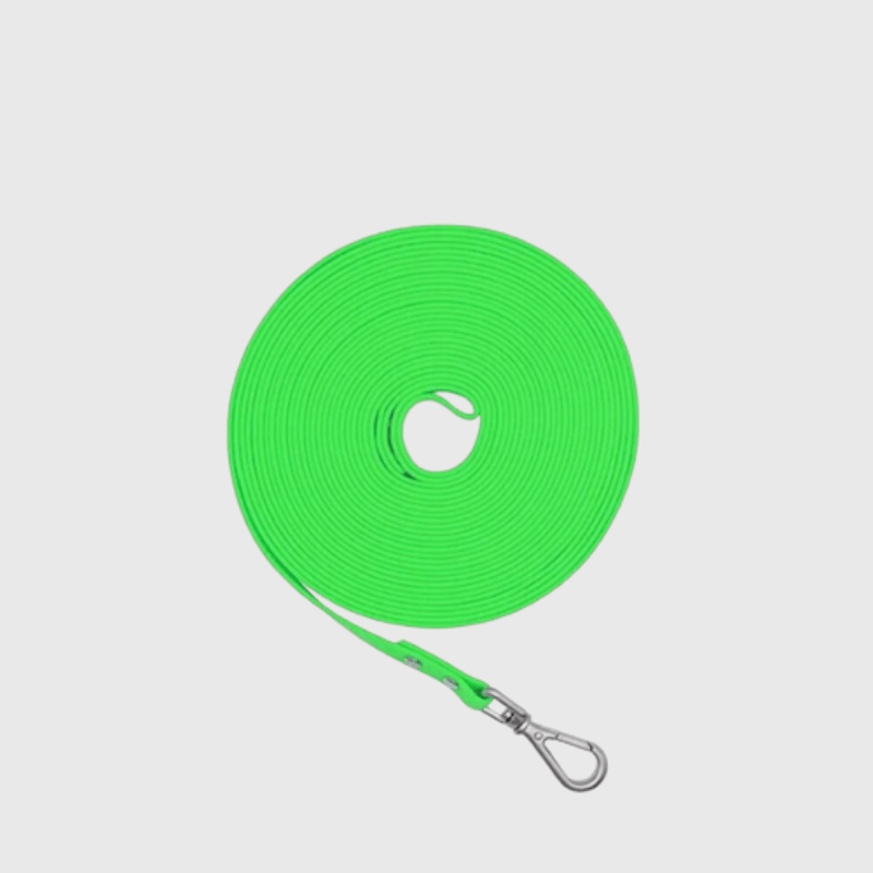 Longe pour chien 15m vert