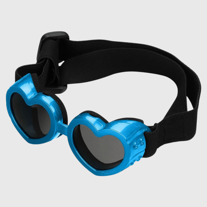 Lunette de protection pour petit chien en forme de cœur bleu