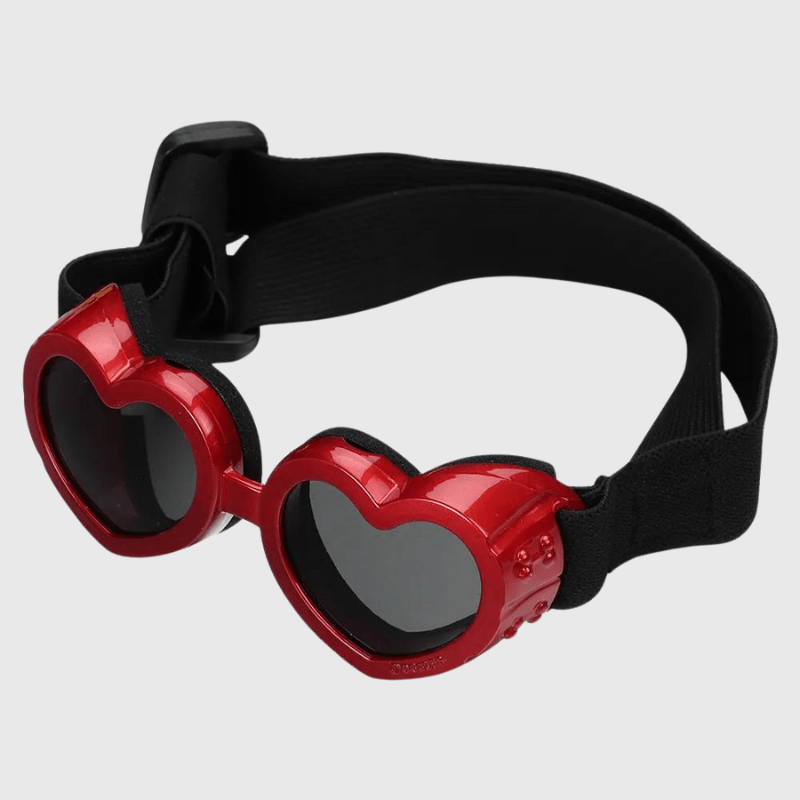 Lunette de protection pour petit chien en forme de cœur rouge