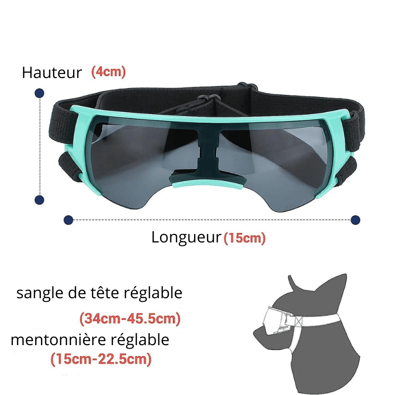 Lunette de protection pour petit chien sans contour vert