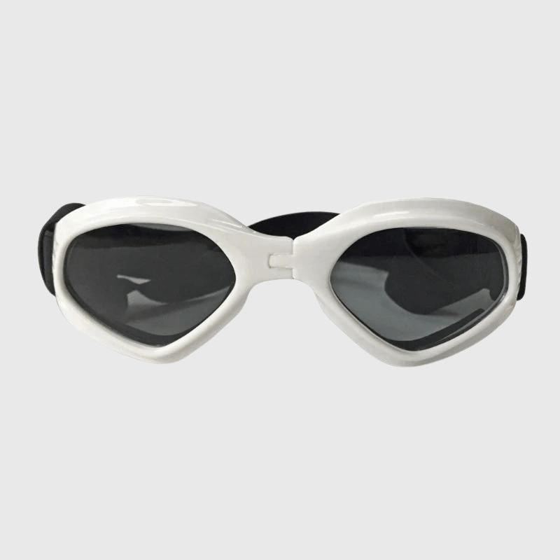 Lunette de soleil pour chien blanc