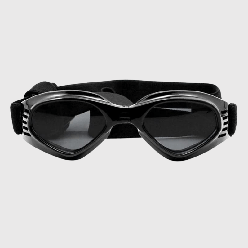 Lunette de soleil pour chien noir
