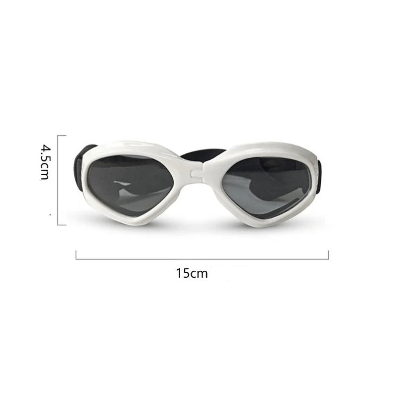 Lunette de soleil pour chien taille