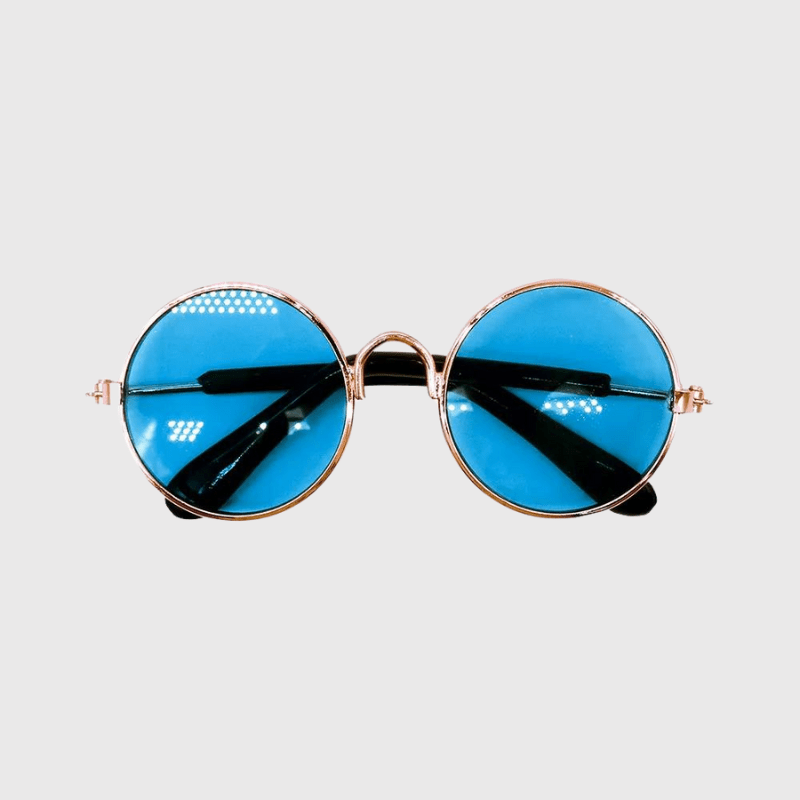Lunette de soleil ronde pour chien bleu