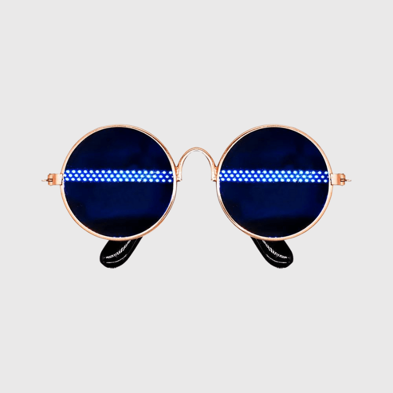 Lunette de soleil ronde pour chien bleu foncee