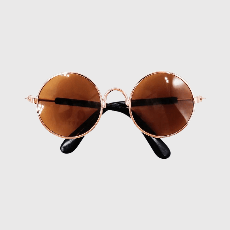 Lunette de soleil ronde pour chien marron
