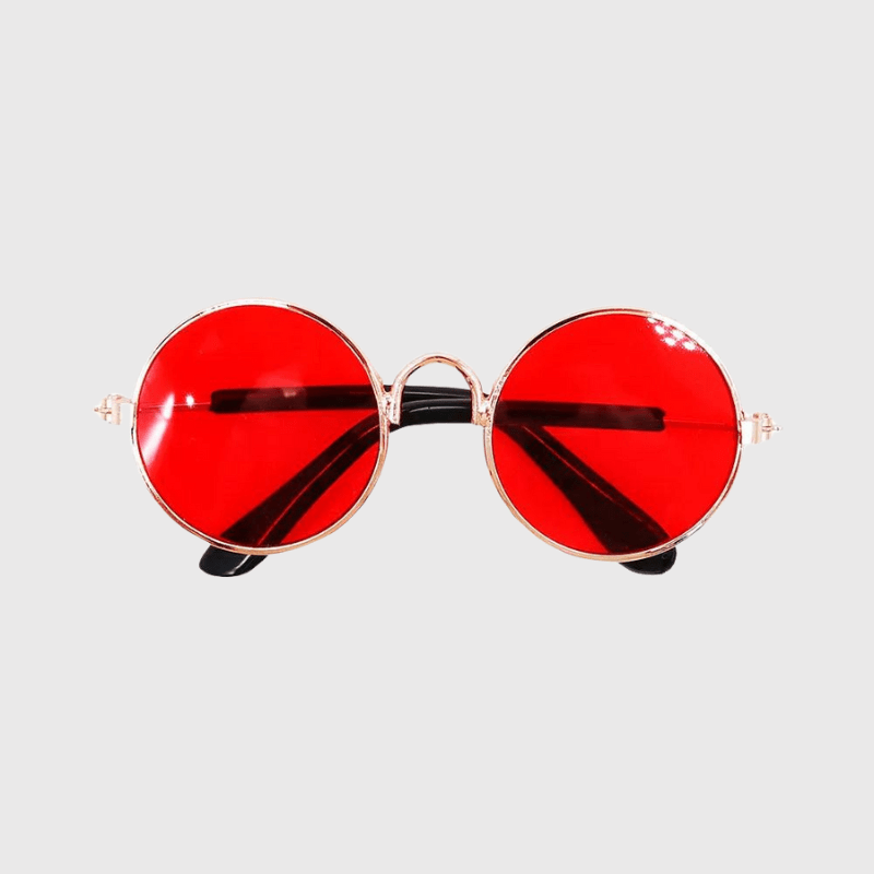 Lunette de soleil ronde pour chien rouge