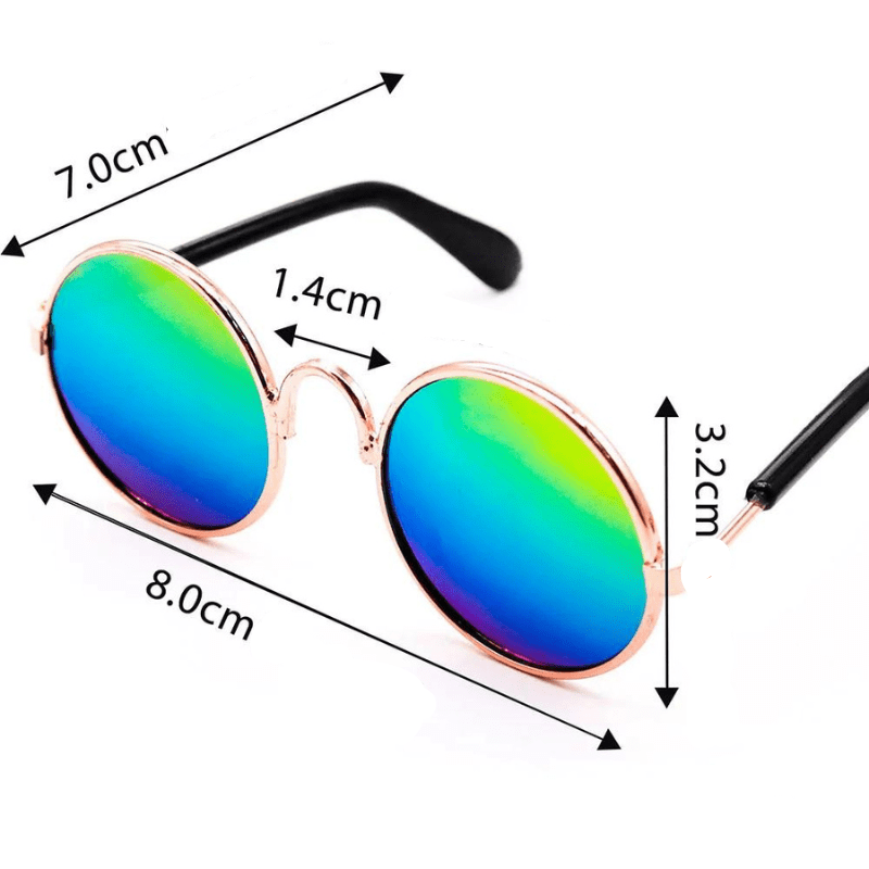 Lunette de soleil ronde pour chien taille