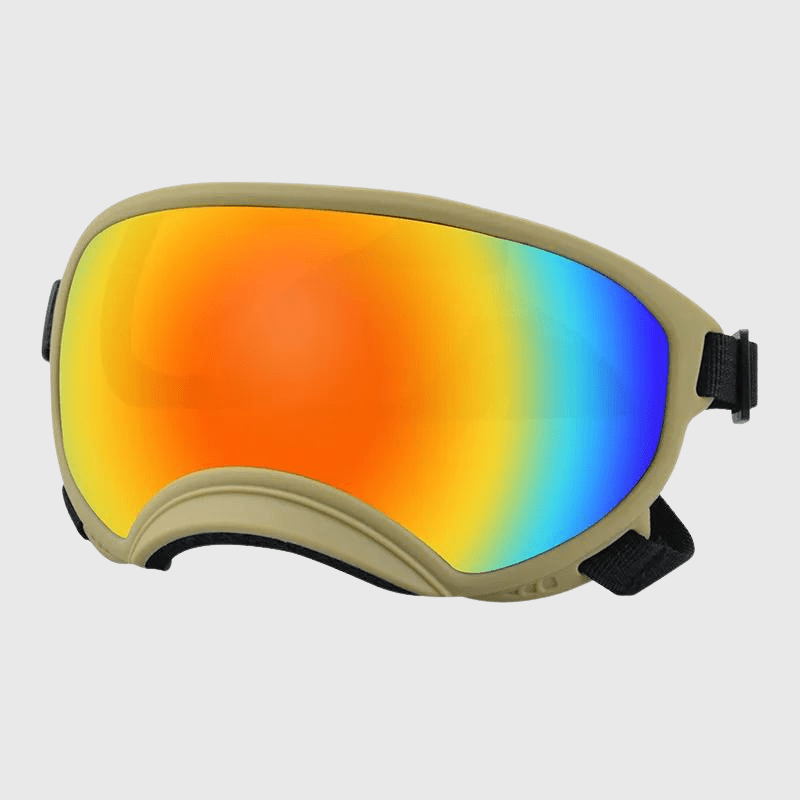 Lunette moto pour chien beige couleu