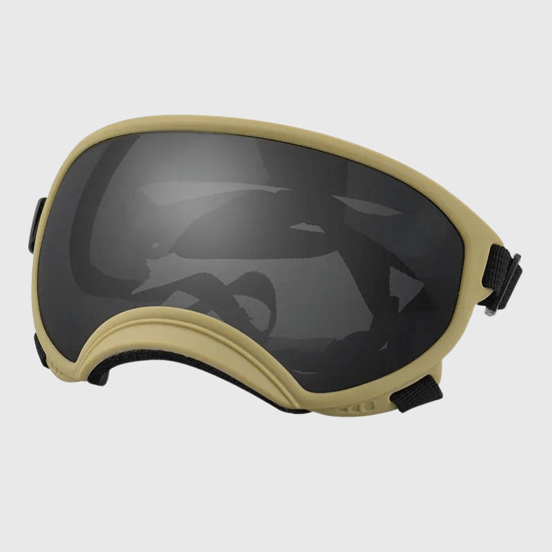 Lunette moto pour chien beige sombre