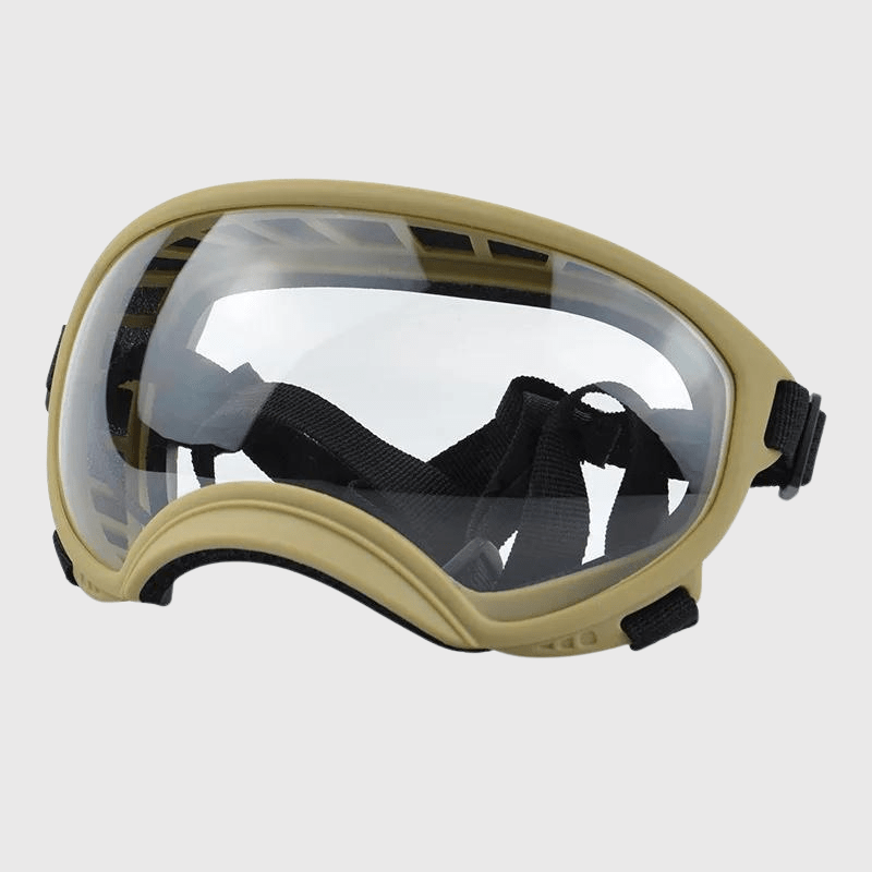 Lunette moto pour chien beige transparent