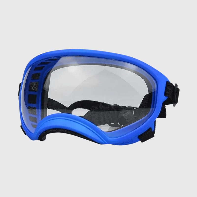 Lunette moto pour chien bleu transparent