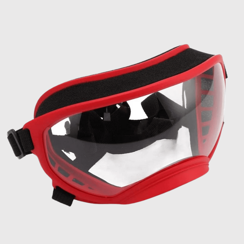 Lunette moto pour chien chiot