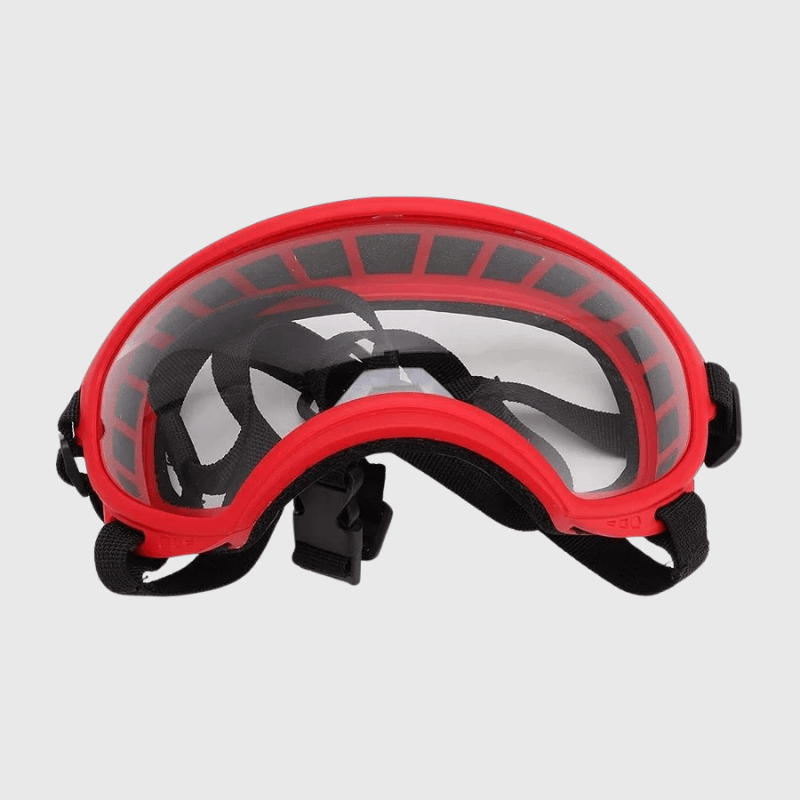 Lunette moto pour chien modele