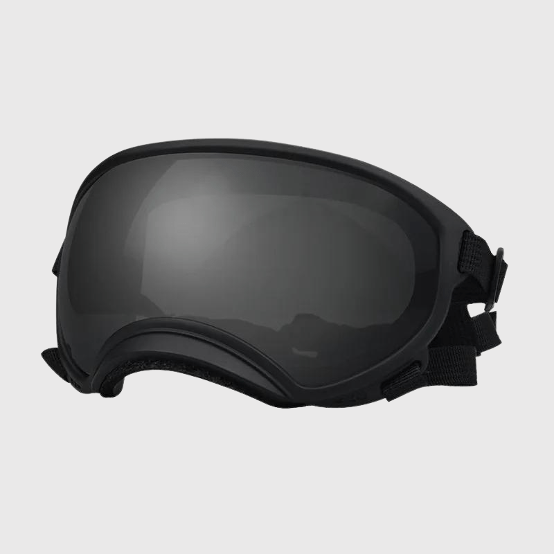 Lunette moto pour chien noir sombre