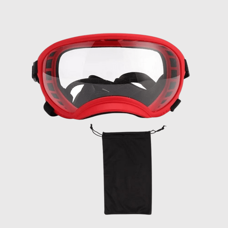 Lunette moto pour chien rangement