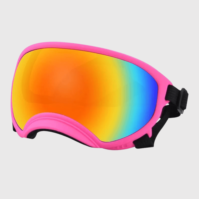 Lunette moto pour chien rose couelur