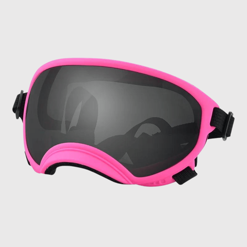 Lunette moto pour chien rose sombre