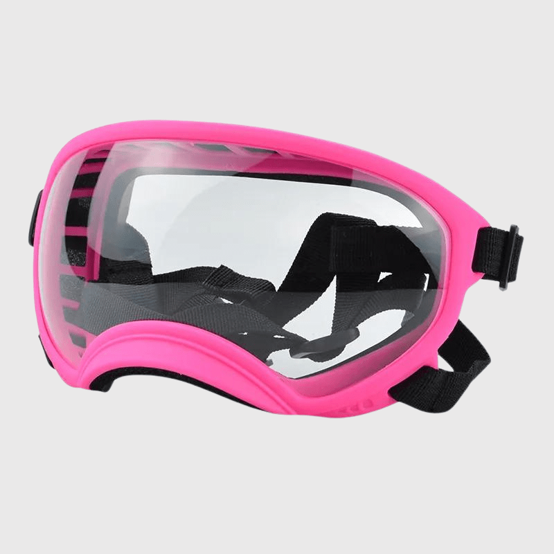 Lunette moto pour chien rose transparent