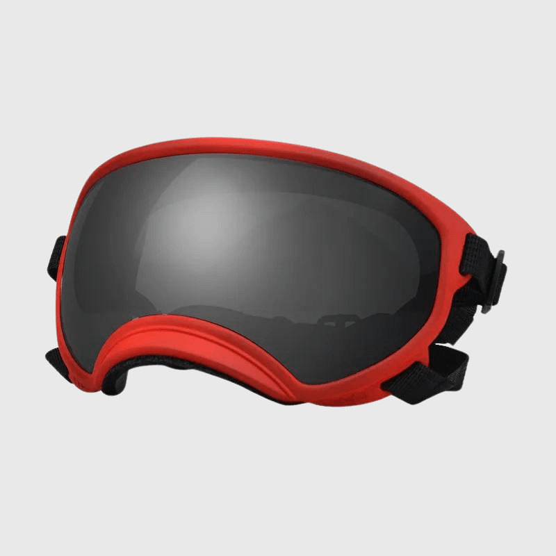 Lunette moto pour chien rouge sombre