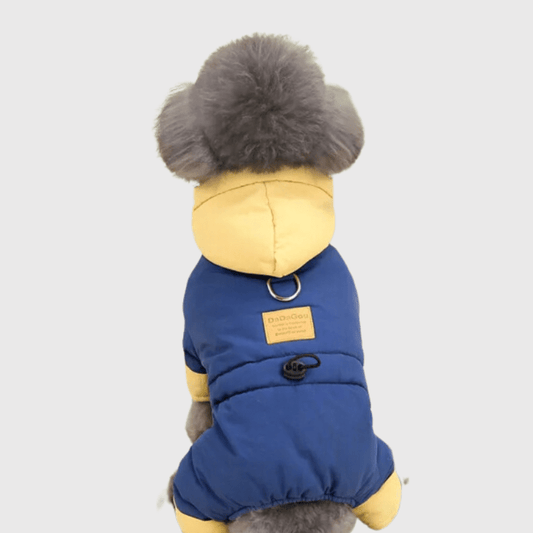 Manteau 4 pattes pour chien bleu modele caniche