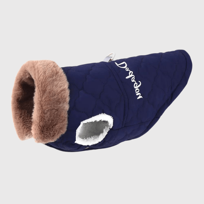 Manteau Hiver pour chien bleu