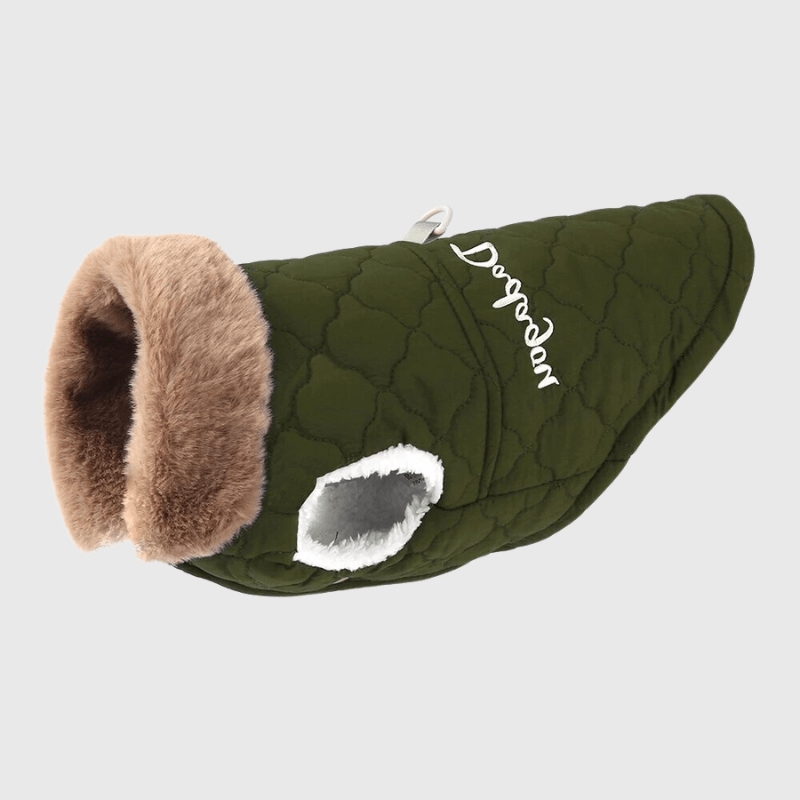 Manteau Hiver pour chien vert
