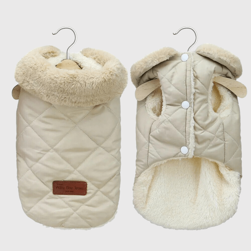 Déstockage d’Hiver ❄️ -50% sur nos pulls & manteaux pour chien