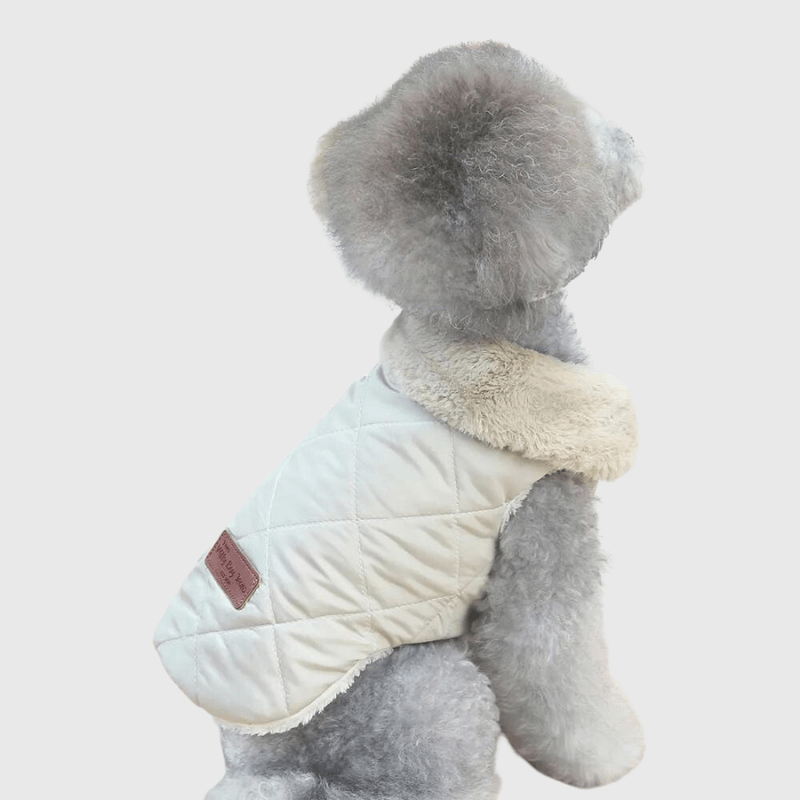 Manteau chaud pour chien caniche